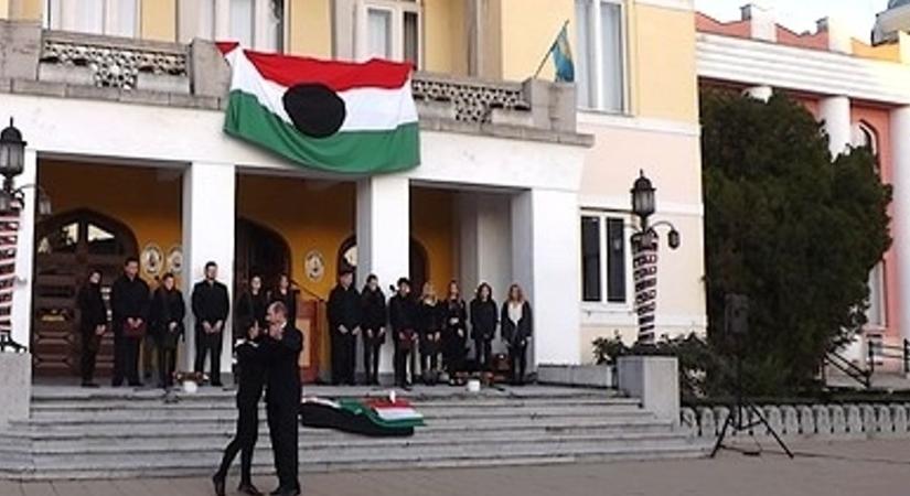 1956 Mohácson: így küzdöttek a szabadságért a TEFU gépkocsivezetői