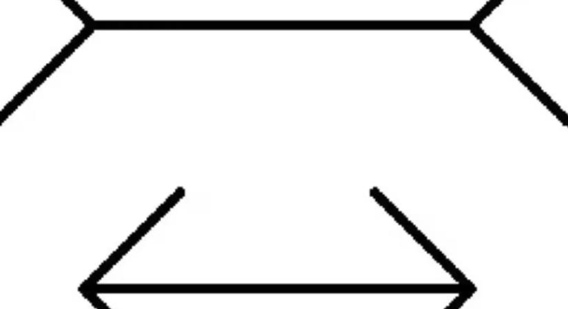 IQ TESZT: Csak az emberek 1%-a látja, melyik vonal a hosszabb