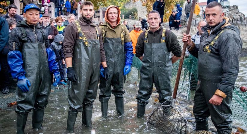 Videón az idei első fogás: 12 mázsa ponty került a hálóba