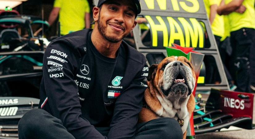 12 éves lett Roscoe, Lewis Hamilton kutyája