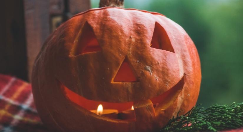 Nem fog megpenészedni a halloweeni tök, ha ezt csinálod: ettől a filléres hozzávalótól őrzi meg frissességét a lámpás!