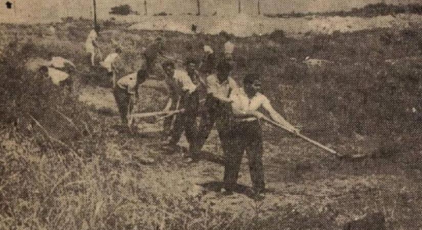 Csaknem 1000 ember építette a Barátság parkot