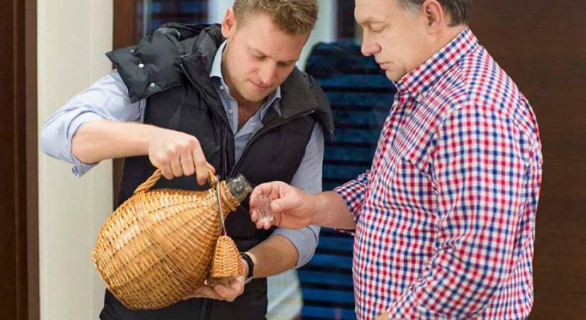 Egy fillér társasági társasági adót sem fizetett még Tiborcz cégbirodalma, a BDPST