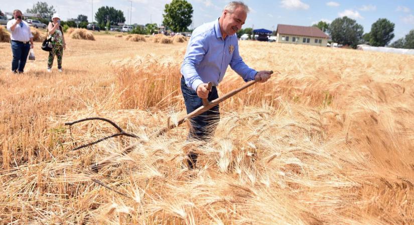 Az agrárminiszter nem ébredt későn: hajnalban is viccelődött Magyar Péterrel