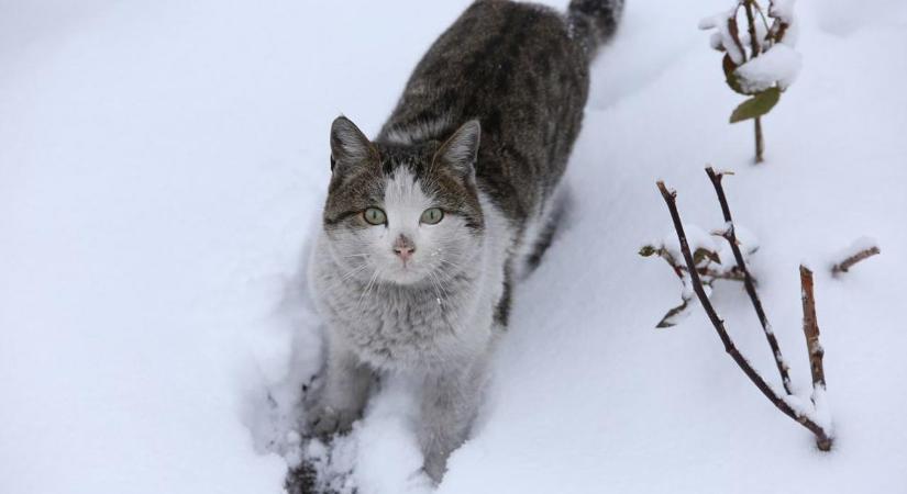 Hóval érkezhet a fagyos levegő – már tudni, mikorra várható az első havazás