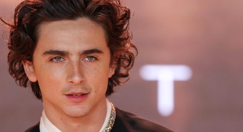 Timothée Chalamet felbukkant egy Timothée Chalamet-hasonmásversenyen