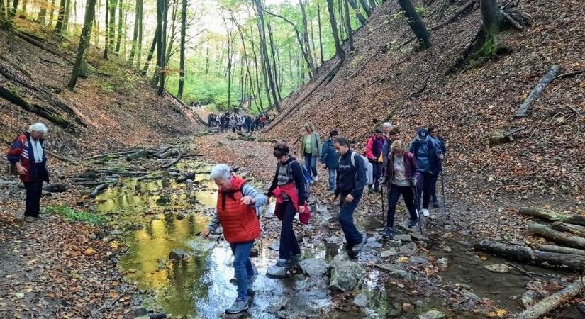 Meteo Mecsek: kellemes időjárás várható az őszi szünetben