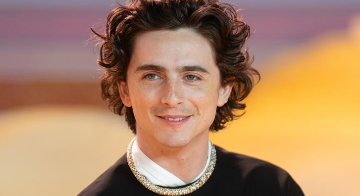 Timothée Chalamet váratlanul megjelent egy Timothée Chalamet-hasonmásversenyen, de végül nem ő nyert