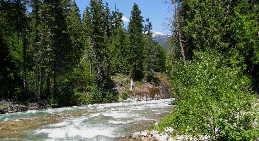 Egy hónapig gombán és bogyókon élt az amerikai nemzeti parkban eltévedt túrázó