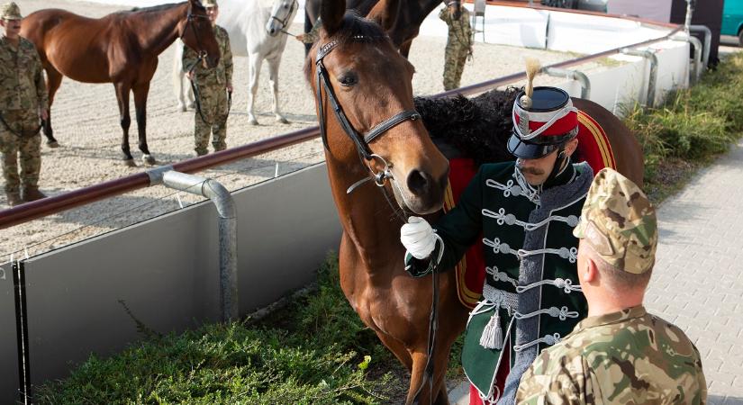 Versenylóból huszárhátas – A Magyar Honvédség huszárjai ünnepélyesen átvették a Magyar Öttusa Szövetség lovait