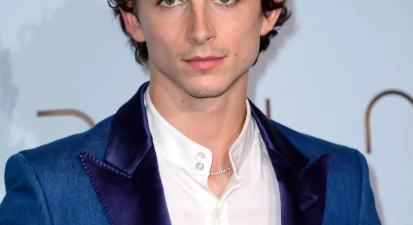 Timothée Chalamet a hasonmásai versenyén jelent meg