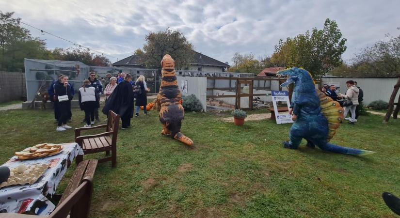 Zámolyi Madárpark: rekordot hozott a vámpírkecske és a független sorsolásért felelős Rocky, a kakadu