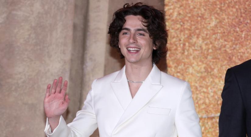 Timothée Chalamet saját hasonmásversenyére érkezett meglepetésvendégként