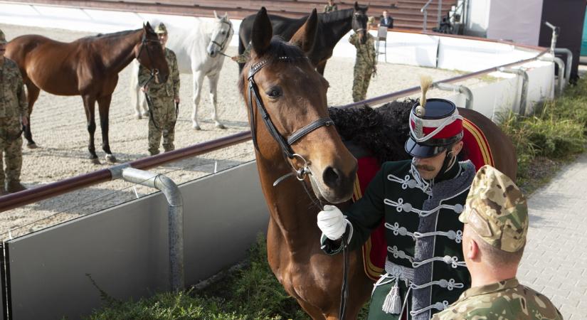 A Magyar Honvédség huszárjai ünnepélyesen átvették az öttusa szövetség lovait