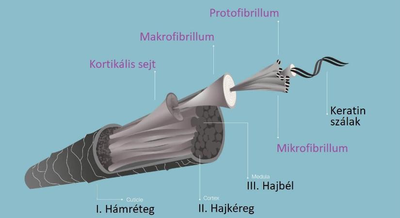 A keratin titkai: Hogyan hozd vissza hajad egészségét és ragyogását!