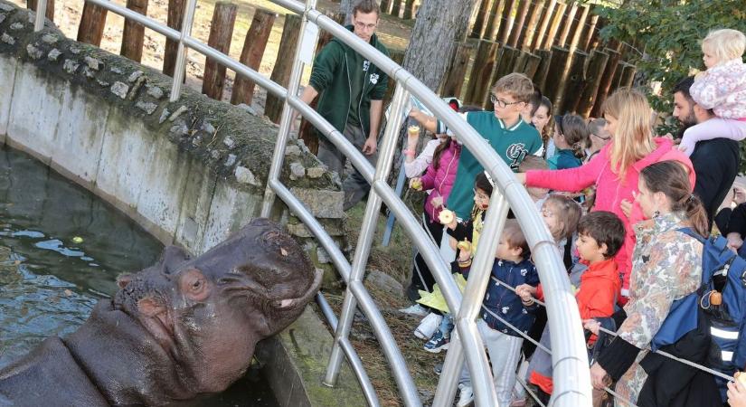 Állatkerti halloween: izgalmas kalandok várják a látogatókat