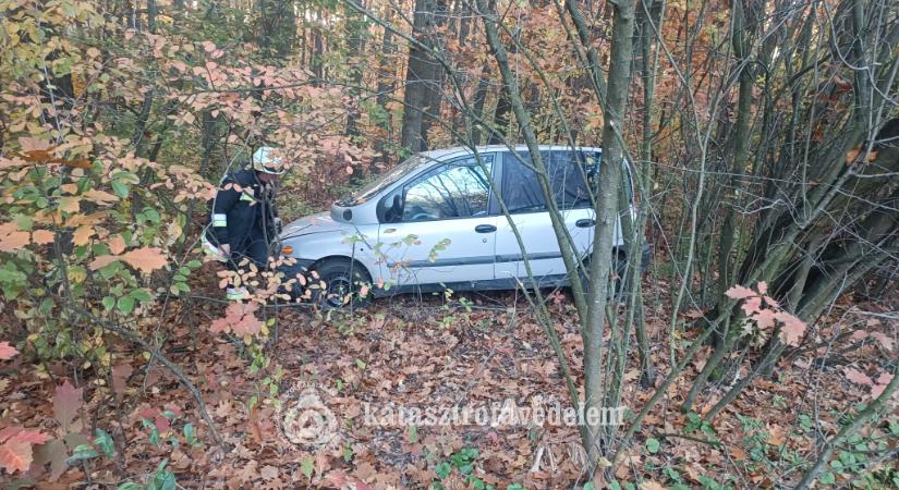 A fák között kötött ki az autó Debrecenben