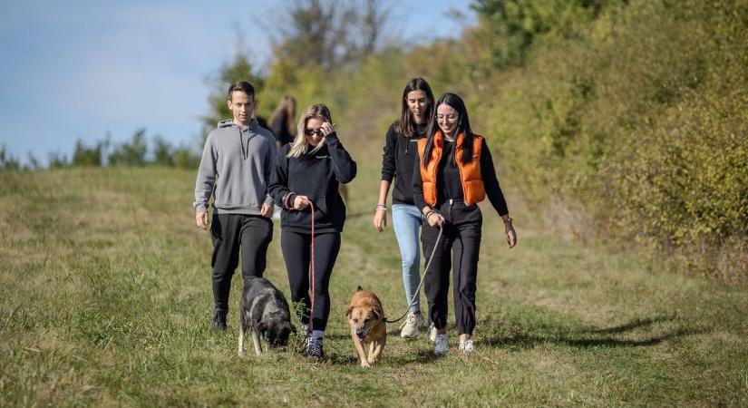 EKKE-s hallgatók segítettek a menhely lakóinak