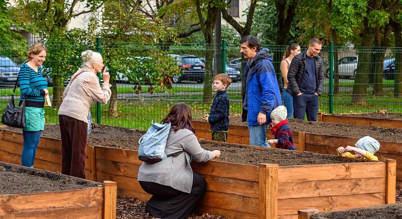 A Tócóskerti Közösségi Kert és egy kismarjai konyhakert is a legszebbek között van