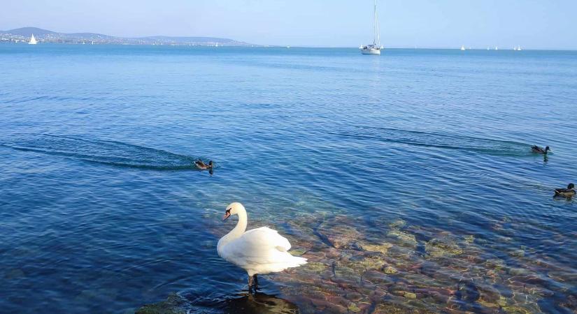 Új strand nyílik Balatonfüreden