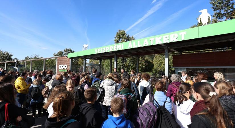 Novembertől rövidül az állatkert nyitvatartása