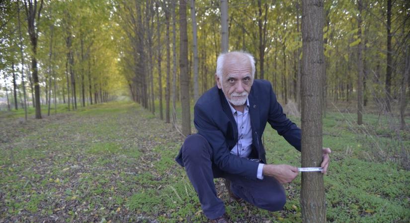 Több erdő, jobb, erdő - szakmai konferencia Napkoron