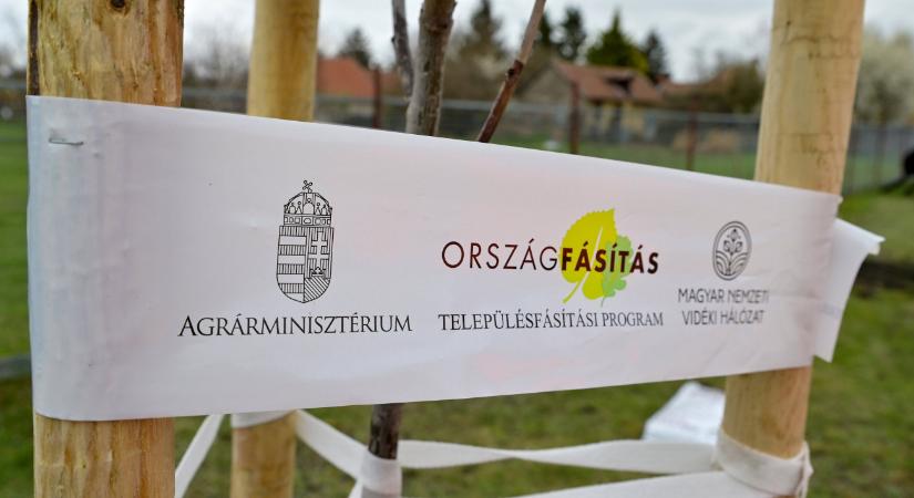 Ősszel újabb hatezer fával gazdagodnak a magyar települések