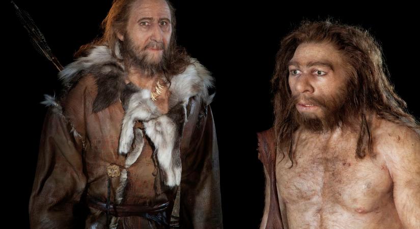 Döbbenetes felismerés: fejlettebbek voltak a neandervölgyiek a modern emberek őseinél?