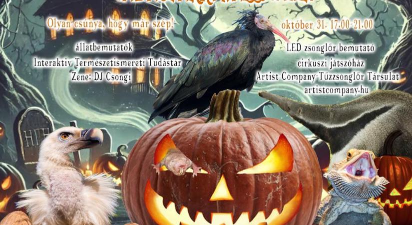 Olyan csúnya, hogy már szép! – Vadasparki halloween október 31-én