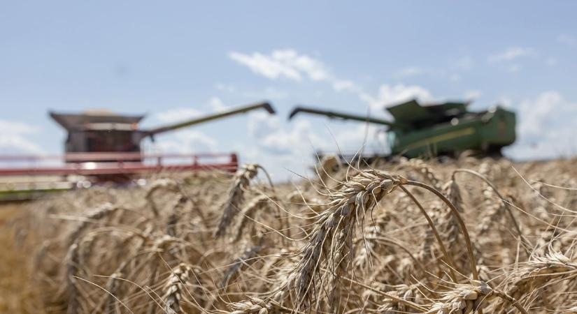 Brüsszel el akarja venni azt a területalapú támogatást