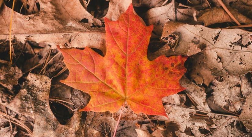 Szavak nincsenek arra, milyen időt robbant ránk a november