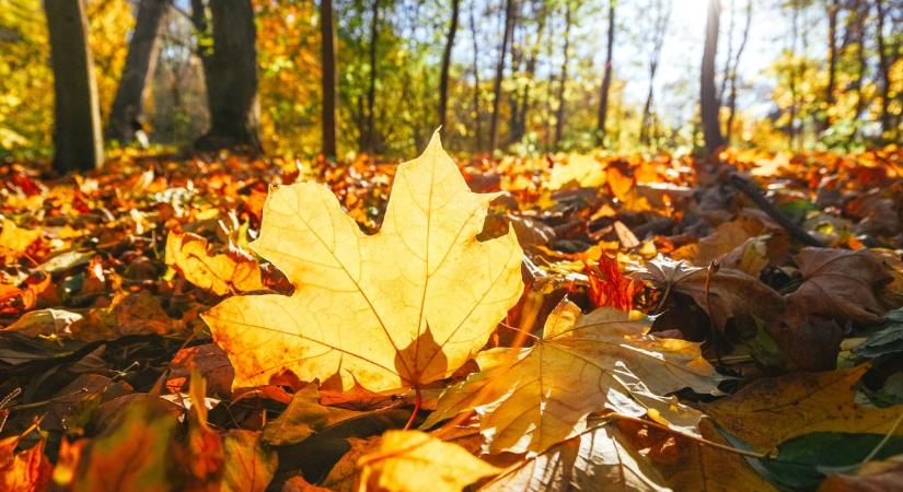 Kellemes őszi idő lesz pénteken Fejérben