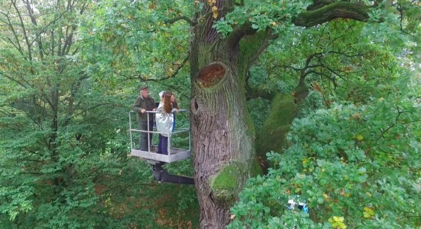 A túlélés építészete: világháborús rejtekhelyek a padló alatt, a tölgyfában és a csatornában