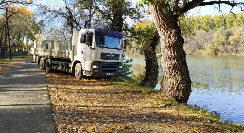 Pontyok és harcsák kerültek a vizekbe – sok fotón mutatjuk!