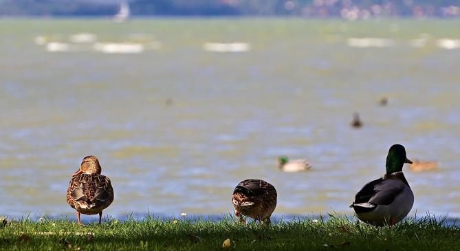 Erős, viharos széllökésekkel érkezik a szombati hidegfront