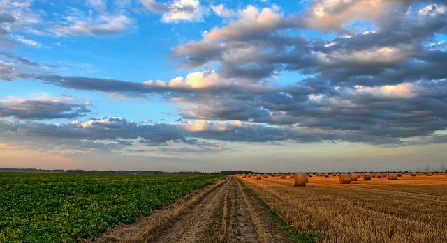 Agrárpetíció az Uniós támogatások megőrzéséért