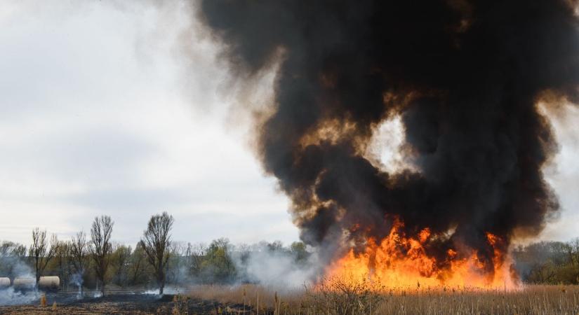 Kigyulladt egy targonca, járókelő vette észre a több méteres lángokat