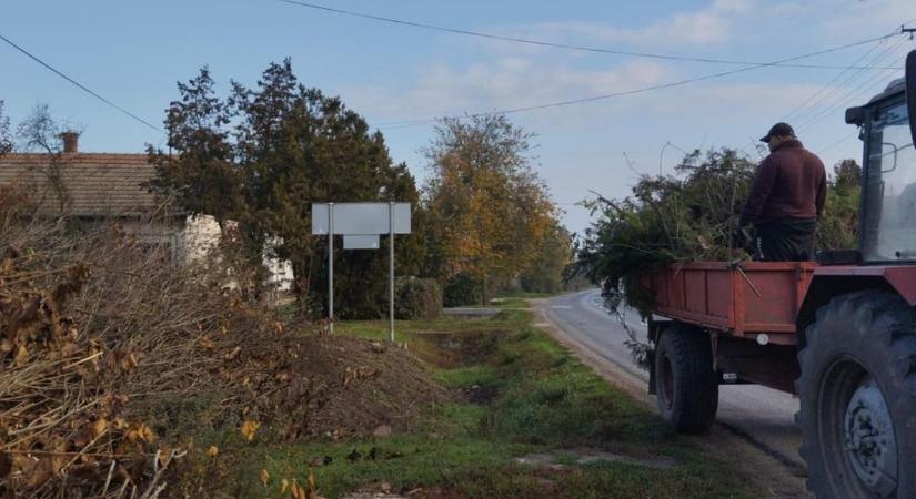 Felszámolják a főút melletti bozótost Tiszaörsön