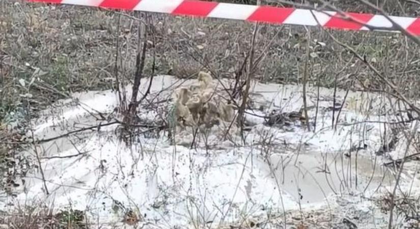 Szivárgott a MOL vezetéke Soltvadkert-Selymes közelében – videóval