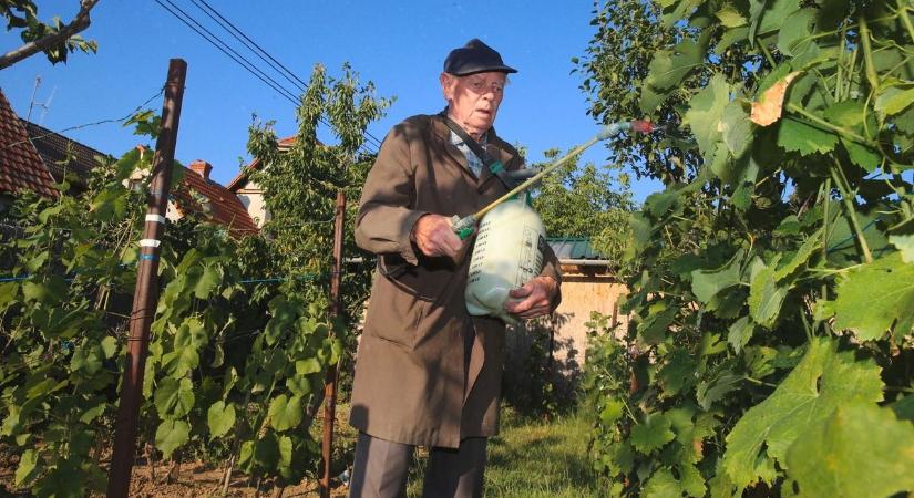 Erősödnek a középbirtokok a magyar mezőgazdaságban