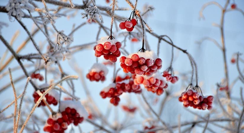 Berúgja az ajtót a november, holnap farkasordító hidegre kelünk