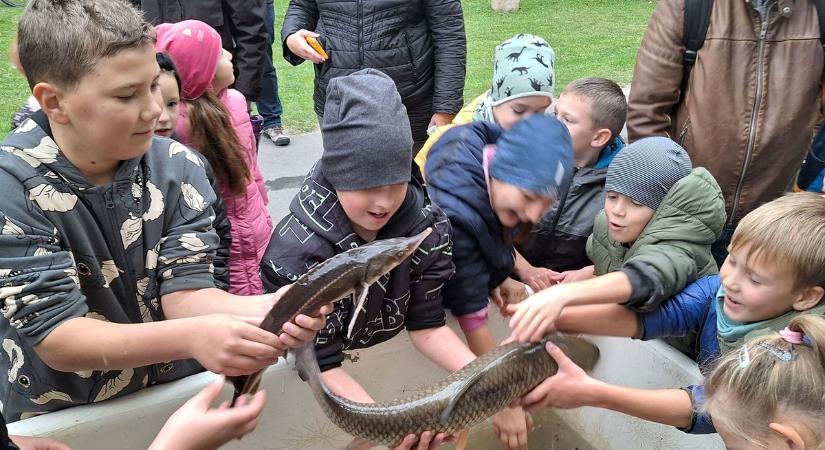 A halak világába kalauzolta a gyermekeket és szüleiket a KEMHESZ – Fotók