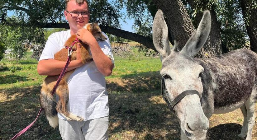 Csacsikalandok a TV-ben - Patrik és Füles együtt érkeztek a színpadra