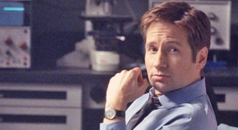 David Duchovny pikáns titka: ilyen filmekben szerepelt a kezdetekkor!