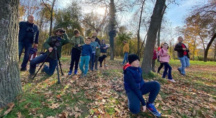 Varázslatos őszi táj fogadta a madármegfigyelő túra résztvevőit a Tiszaligetben – videóval