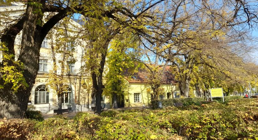 Olvasói fotó: őszi színekben pompázik Makó