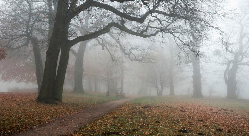 Hidegfront, köd, lehűlés - itt a november, mutatjuk a hétvégén várható időjárást