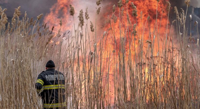 Több hektáron lángol a száraznövényzet Gyergyóalfalu körzetében