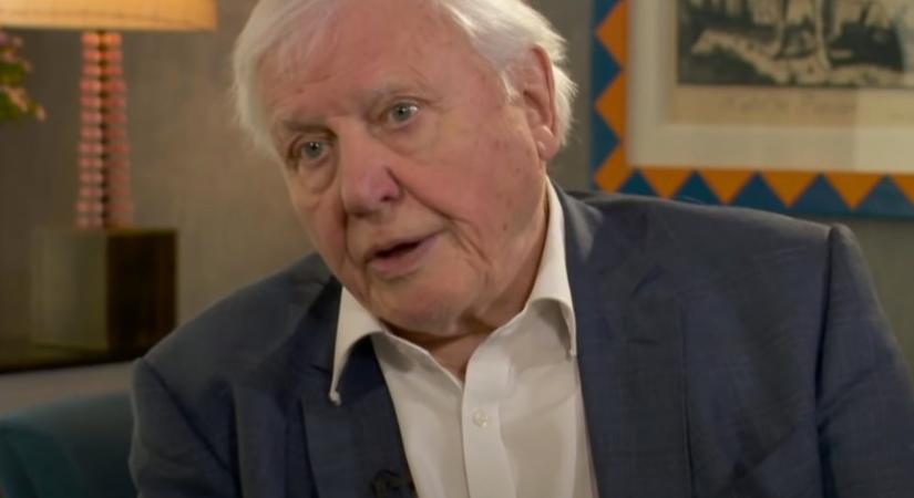David Attenborough még a nappalijában is képes készíteni egy újabb természetfilm-sorozatot