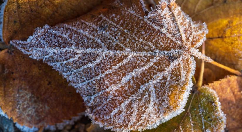 Hajnali faggyal indul a vasárnap Fejérben